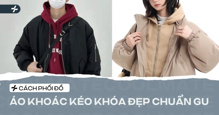 WaveMotion Collection